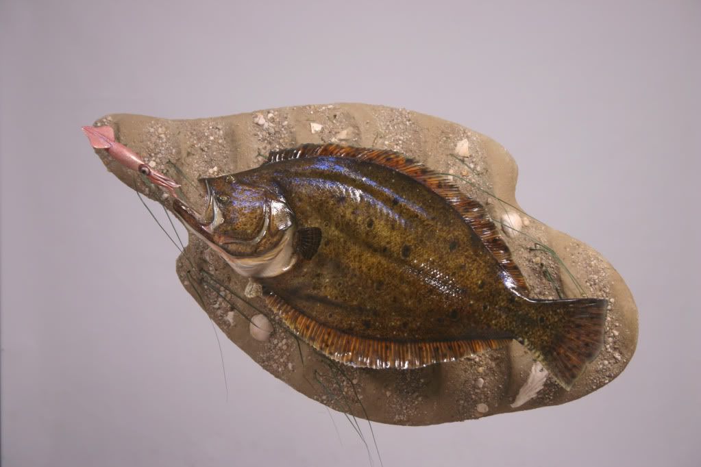 13 pound Fluke New Jersey Hunters